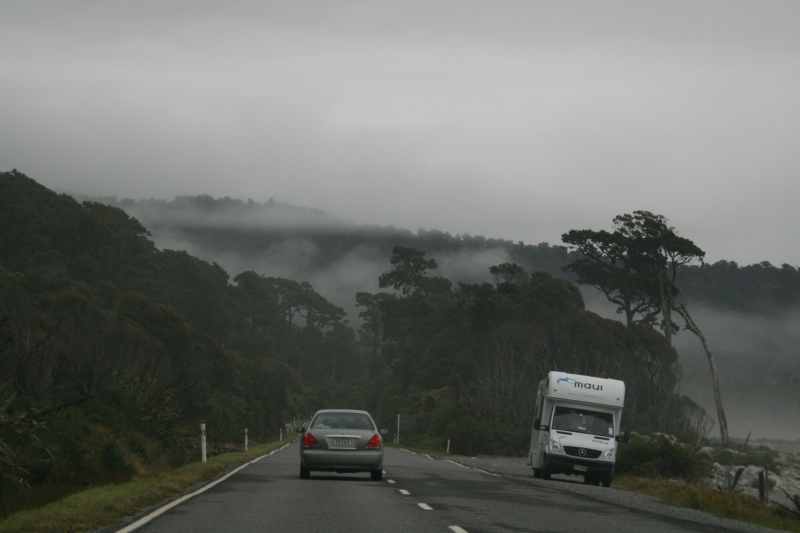 Nieuw-Zeeland 2011 - 1549
